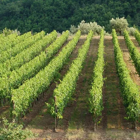 Farm stay Azienda Agricola Di Fietri *