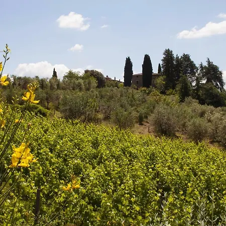 Azienda Agricola Di Fietri Farm stay