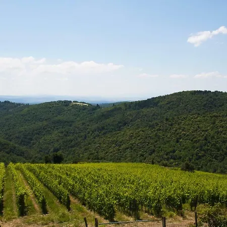 Azienda Agricola Di Fietri *