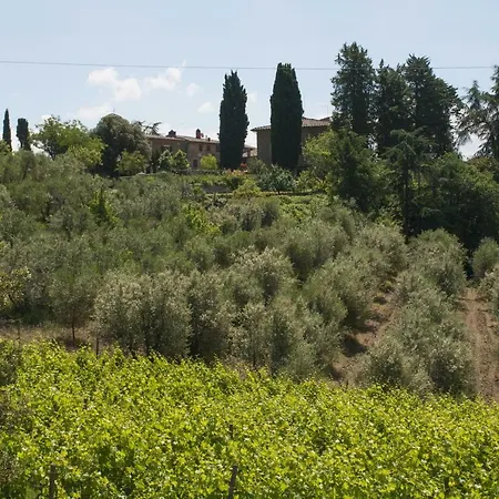 Azienda Agricola Di Fietri