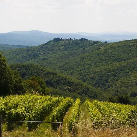 Azienda Agricola Di Fietri *