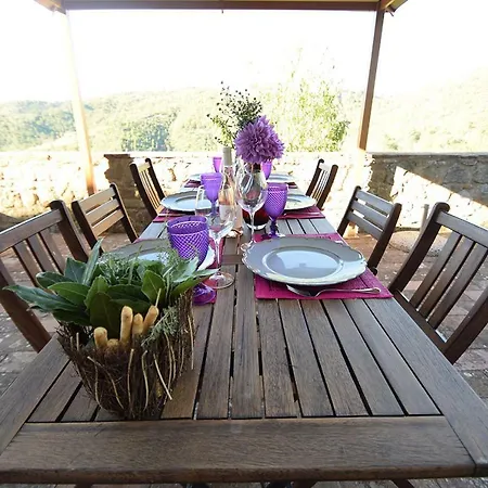 Azienda Agricola Di Fietri