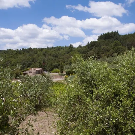 Farm stay Azienda Agricola Di Fietri San Vincenti